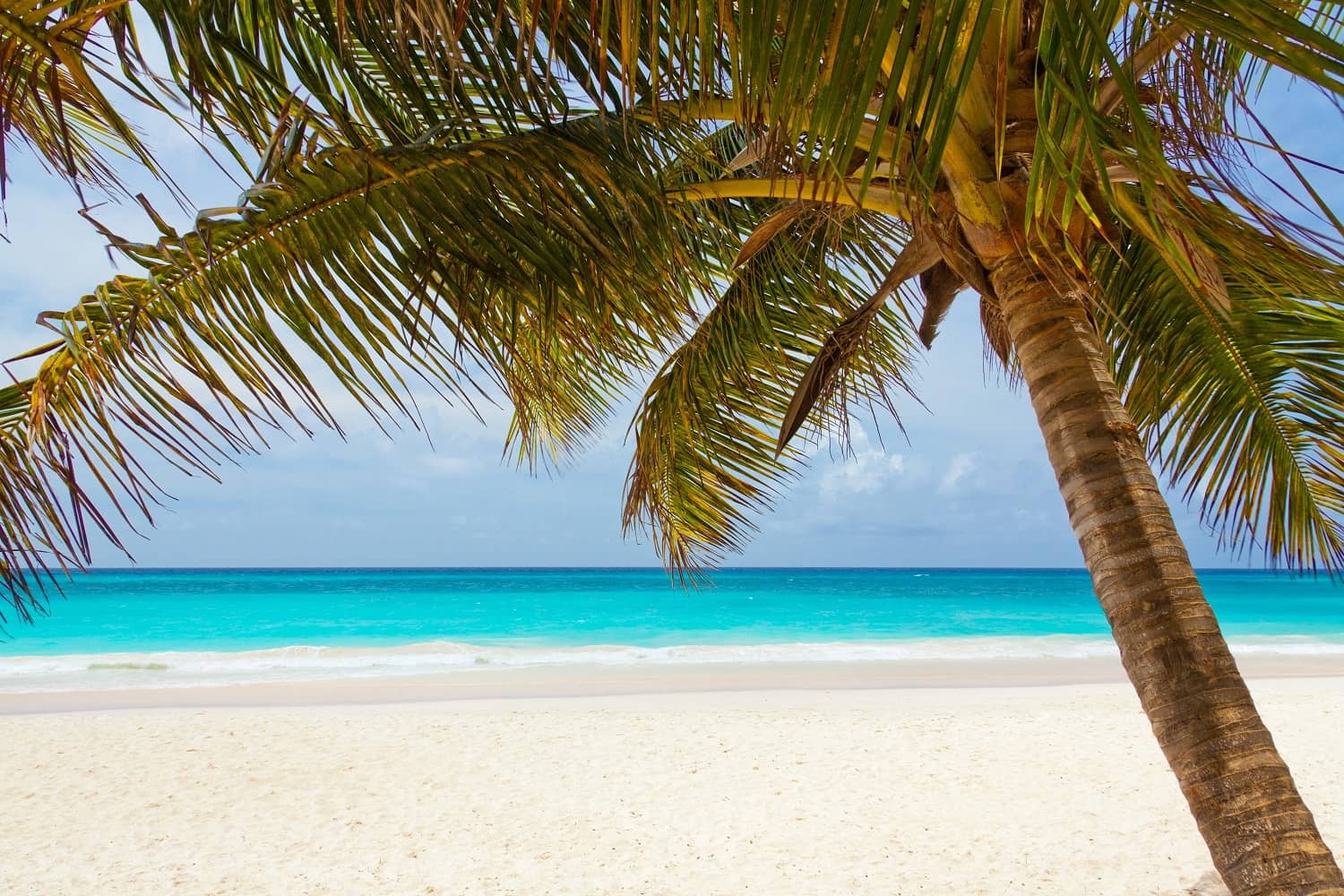Image of destination for suggested activities during vacation or travel.